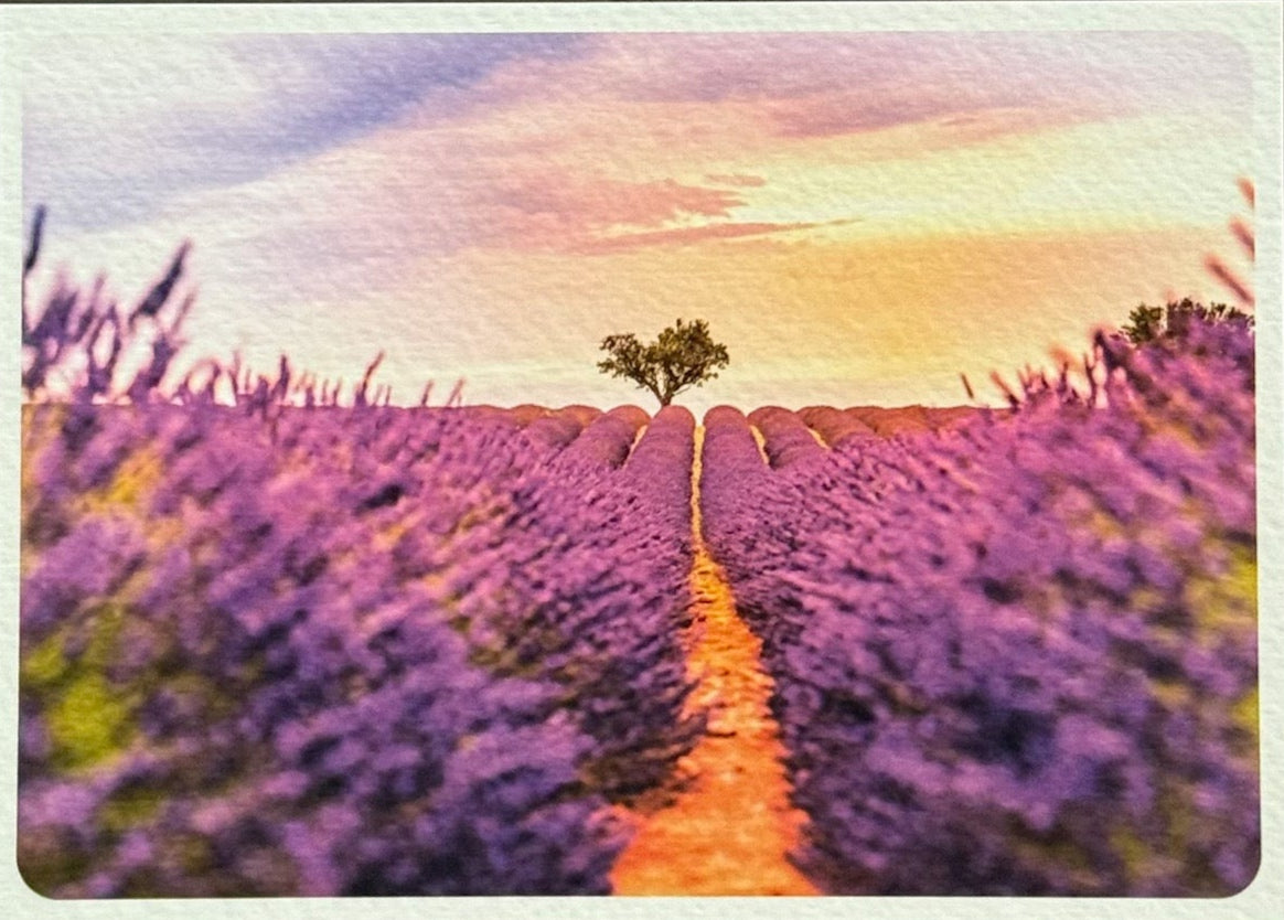 The Purple Post - Premium Postcard, Sticker and Washi Tape Pack - Purple Love