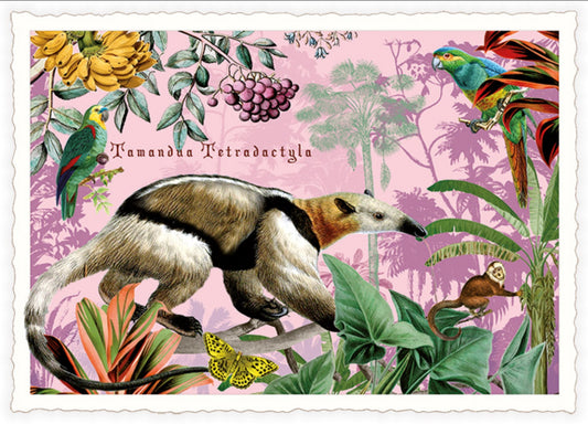 Anteater Postcard by Edition Tausendschön with tropical plants and birds on a pink background