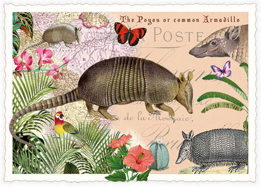 Armadillo Postcard by Edition Tausendschön