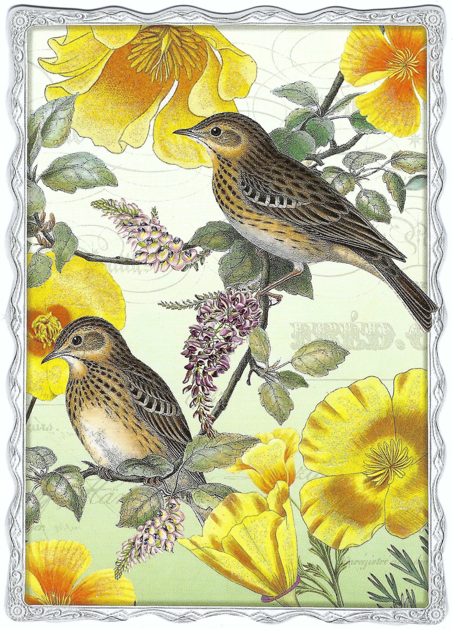Auguri by Barbara Behr - Birds - Yellow Flowers - Postcard