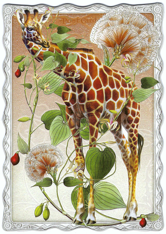 Auguri by Barbara Behr - Giraffe - Flowers - Postcard
