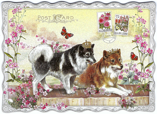 Auguri by Barbara Behr - Hound - Dogs - Postcard