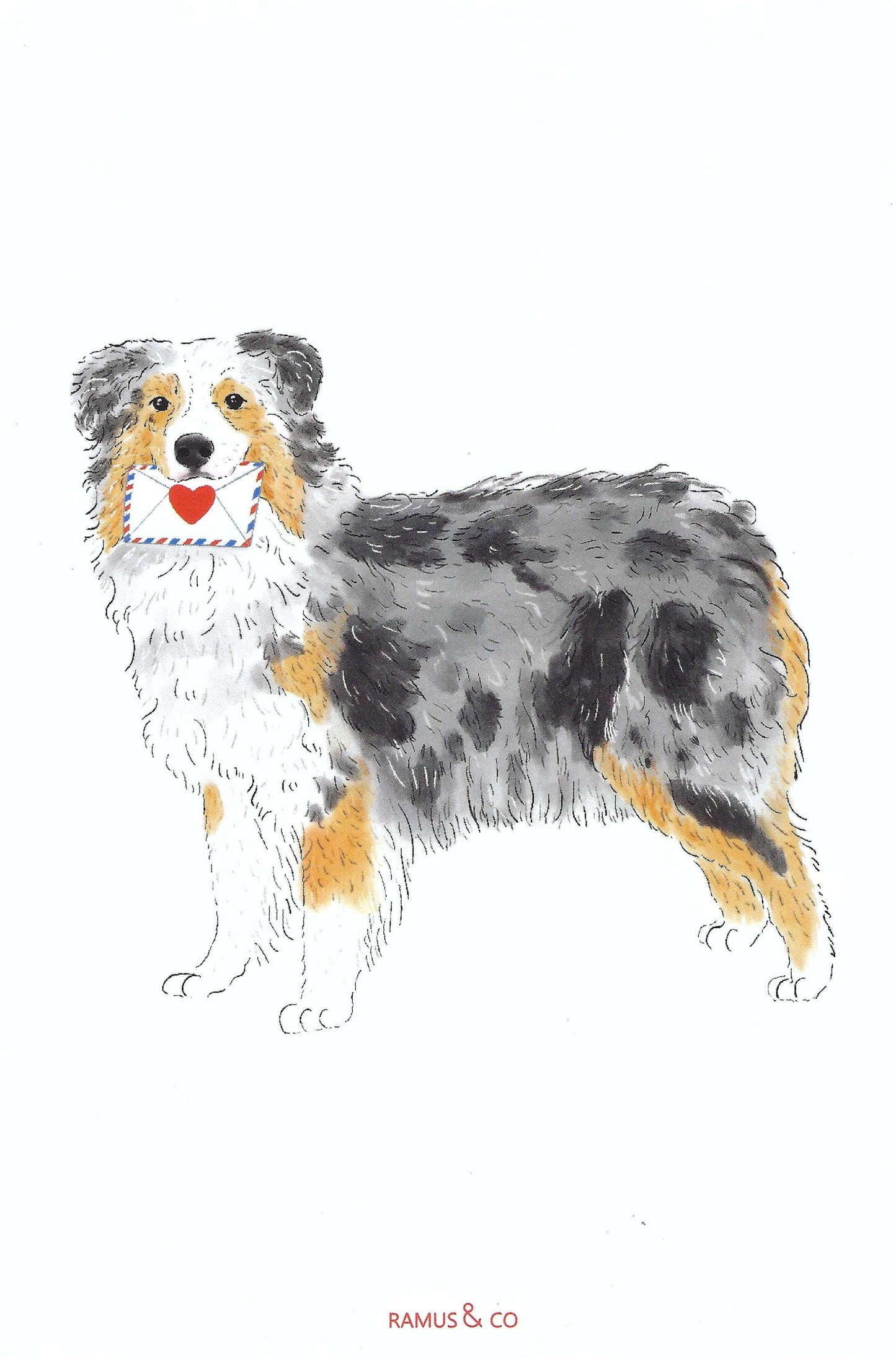Dog Mail Aussie Postcard by Ramus & Company featuring an illustration of a dog with a heart-shaped letter