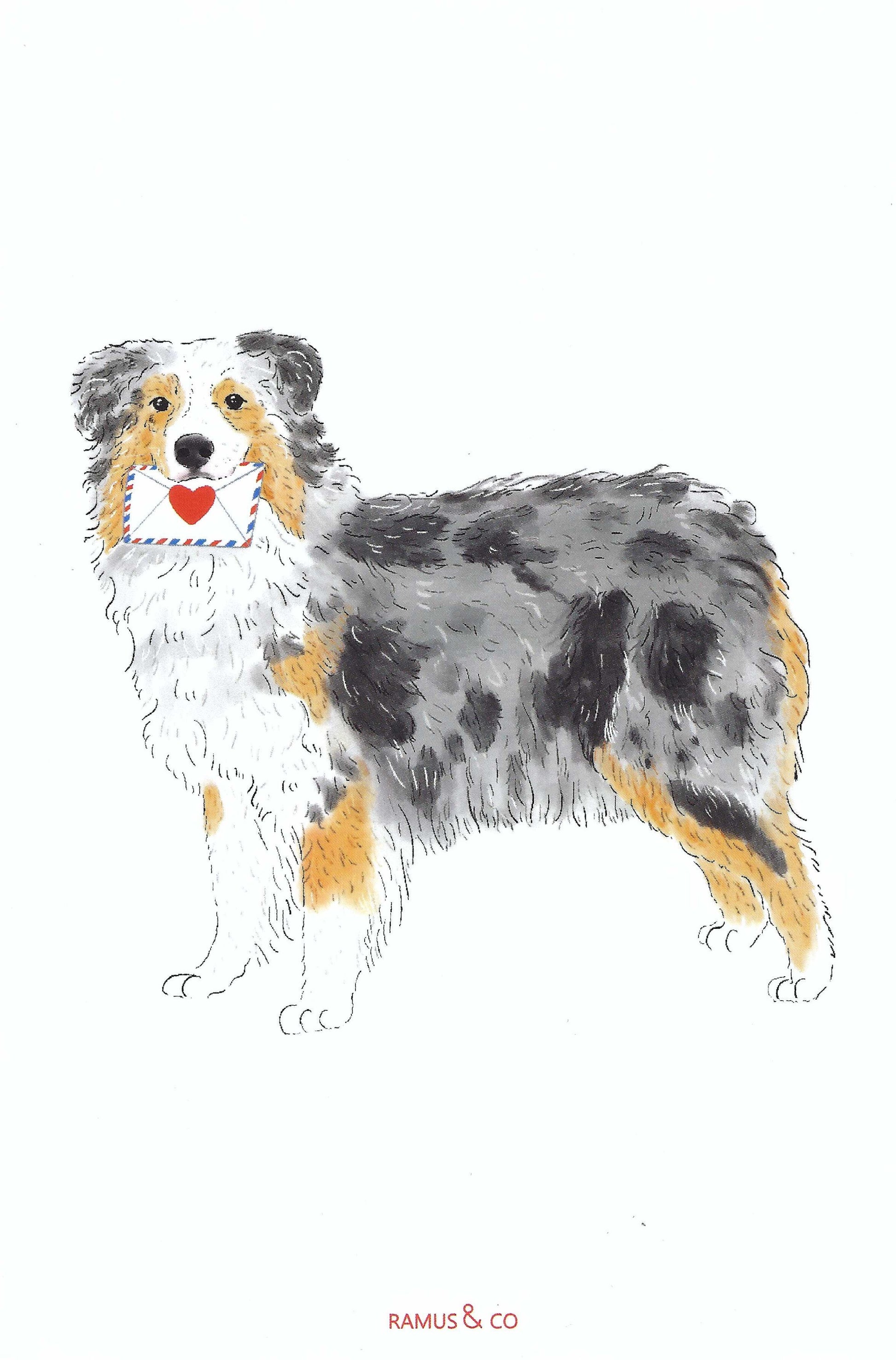 Dog Mail Aussie Postcard by Ramus & Company featuring an illustration of a dog with a heart-shaped letter