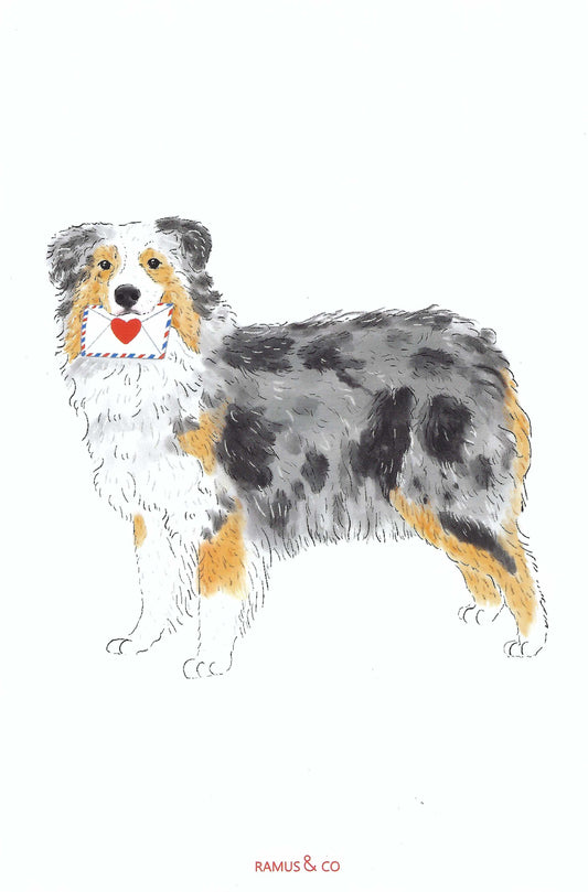 Dog Mail Aussie Postcard by Ramus & Company featuring an illustration of a dog with a heart-shaped letter