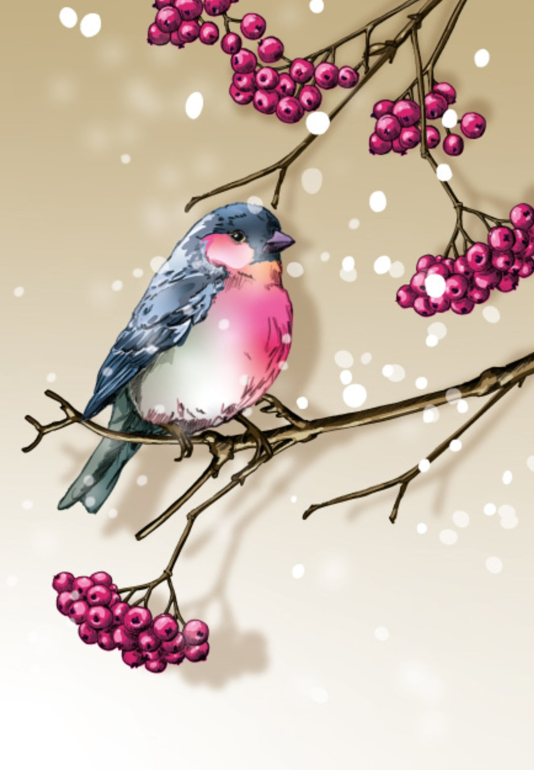 Badiba Winter Bird Postcard by Nobis Design featuring a small bird perched on a branch with clusters of pink berries against a warm beige background with soft white speckles.