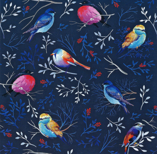Birds Postcard by Edition Gollong