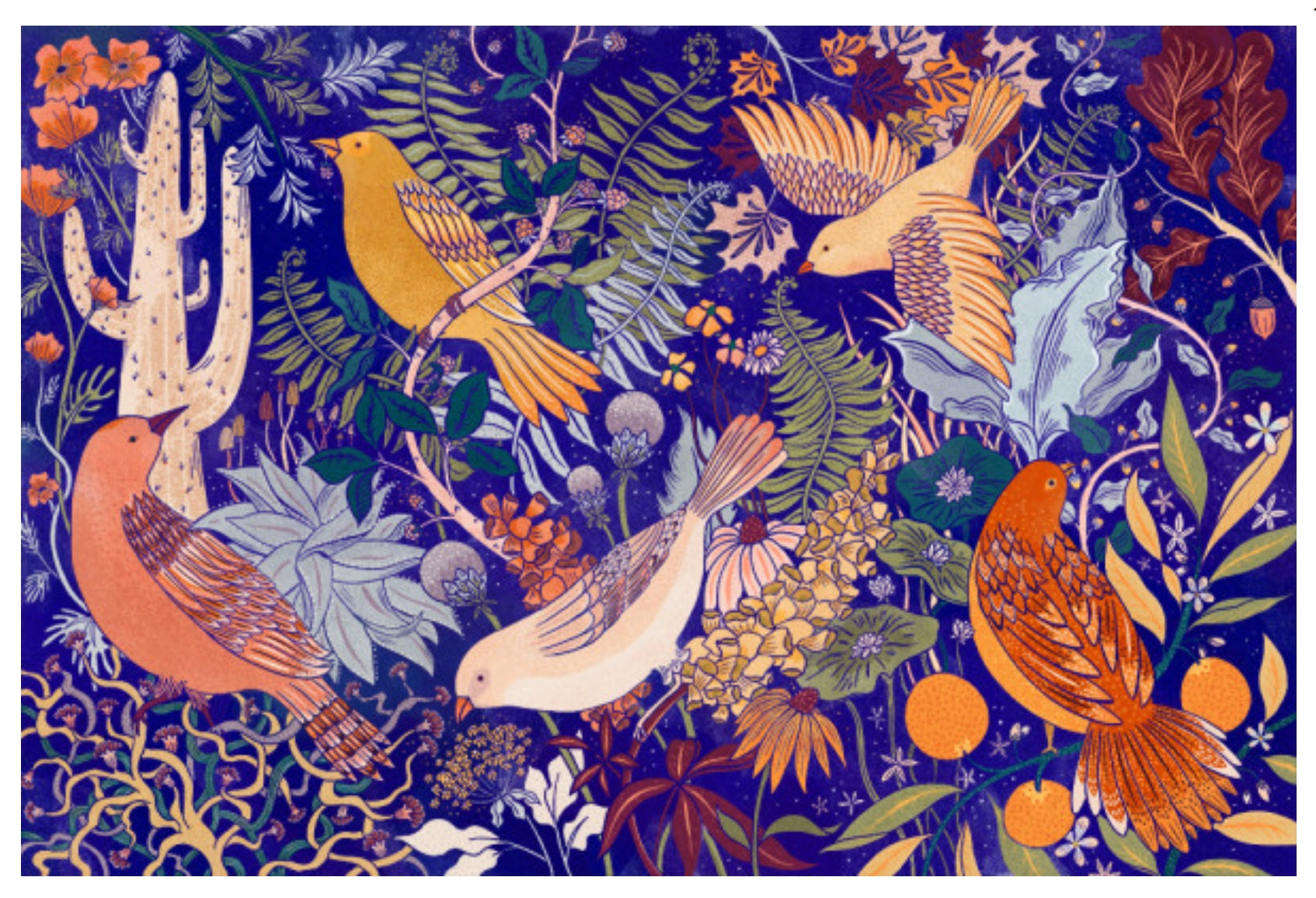 Birds and Blooms Postcard by Lantern Press featuring several colorful birds among dense foliage, leaves, flowers, and cacti on a deep blue background.