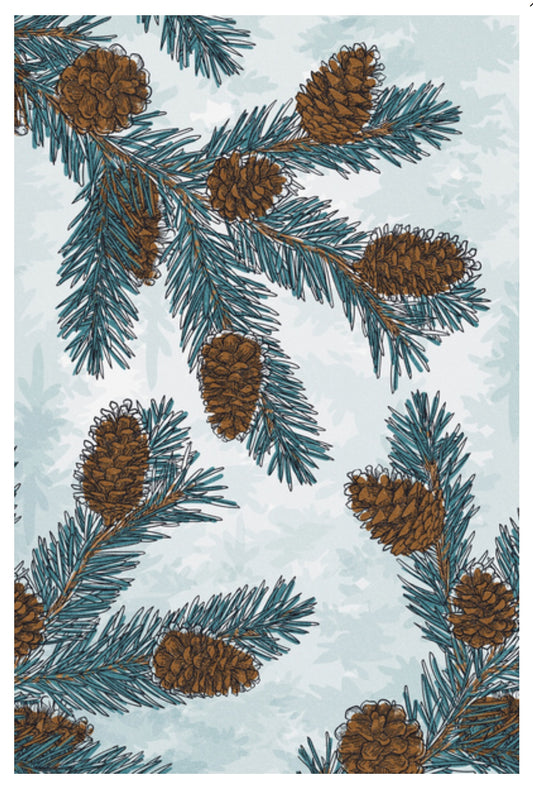 Blue Spruce and Pinecones Branch Postcard by Lantern Press
