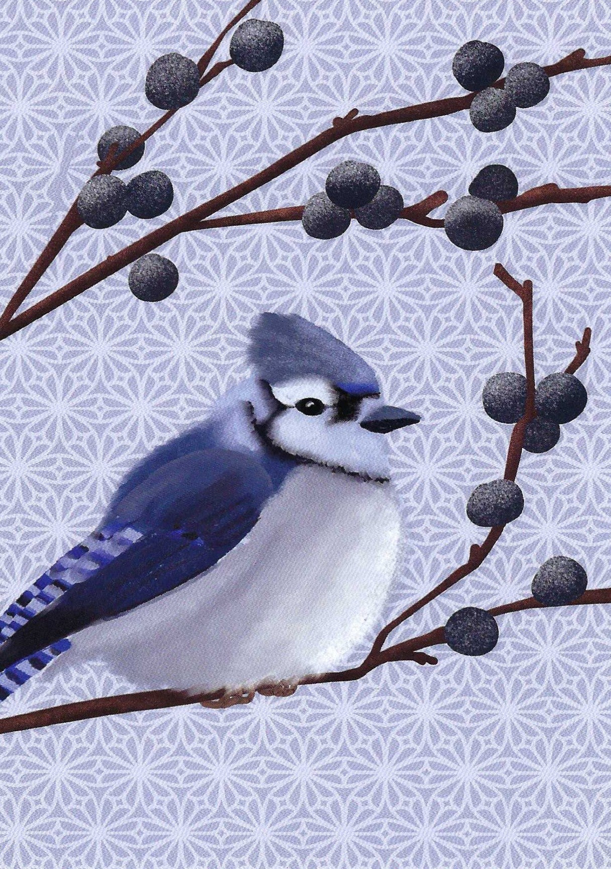 Bluebird Postcard by Nobis Design featuring a blue jay perched on a branch with dark berries