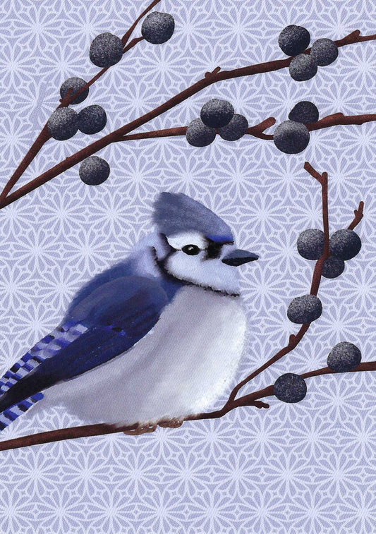 Bluebird Postcard by Nobis Design featuring a blue jay perched on a branch with dark berries