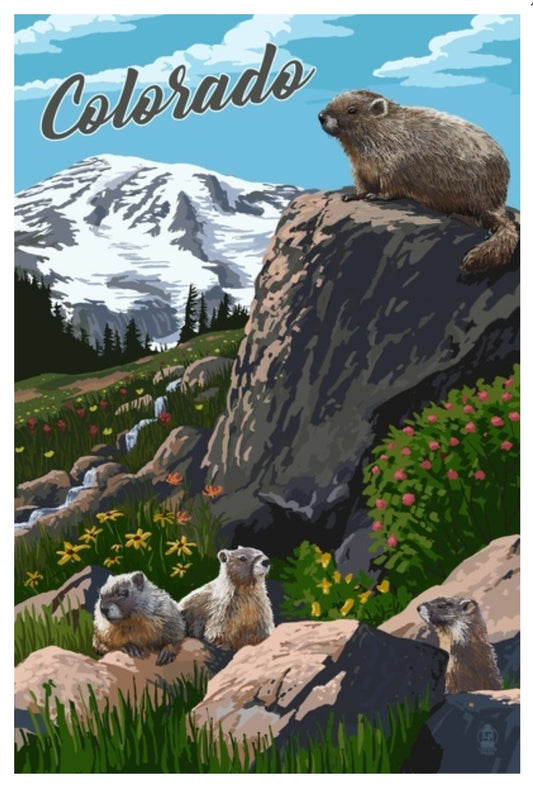 Colorado marmots postcard by Lantern Press – stylized wildlife art featuring two marmots in a mountain landscape, printed on recycled paper.