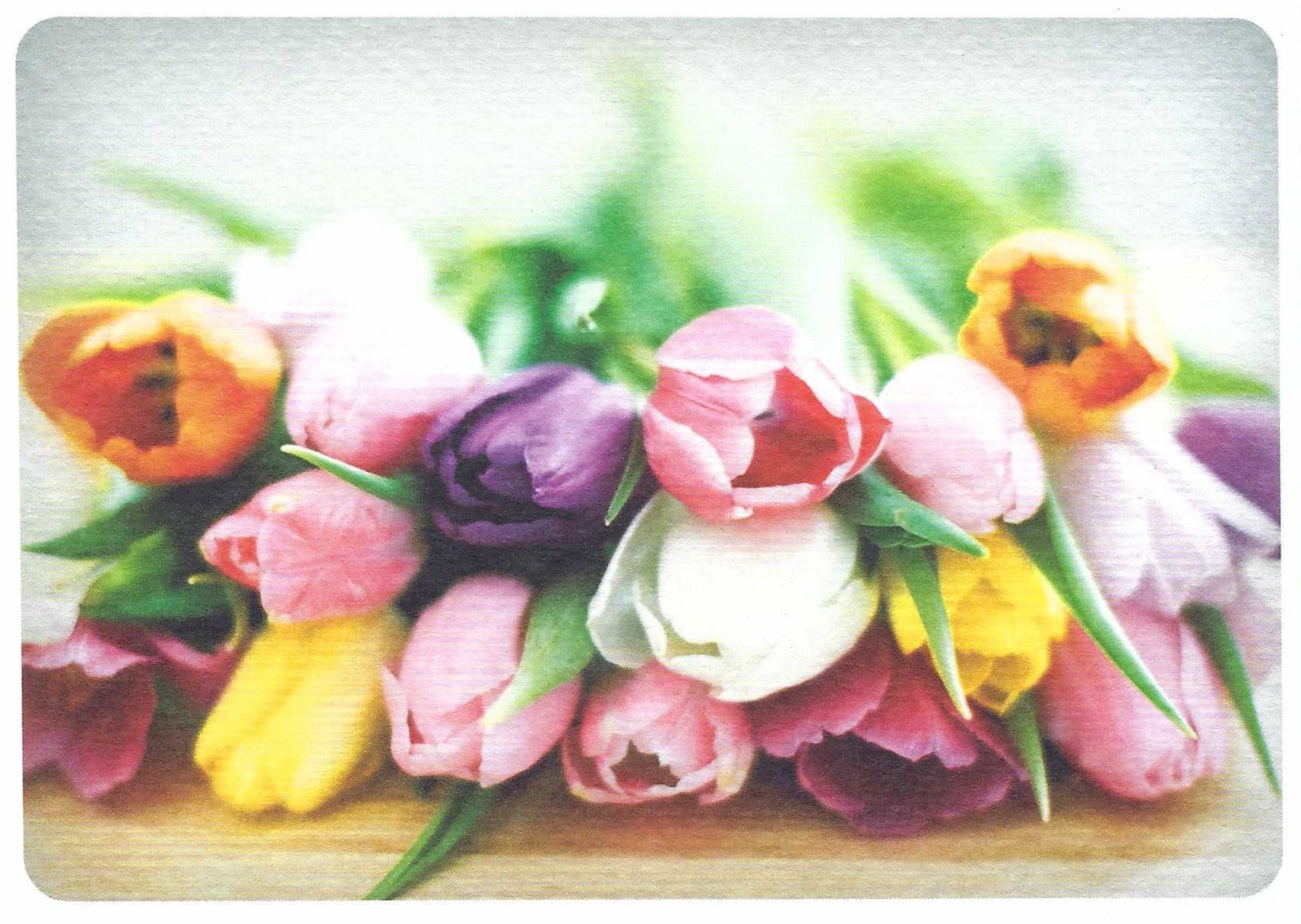 Colorful Tulips Postcard featuring colorful tulips on a wooden surface with a blurred background