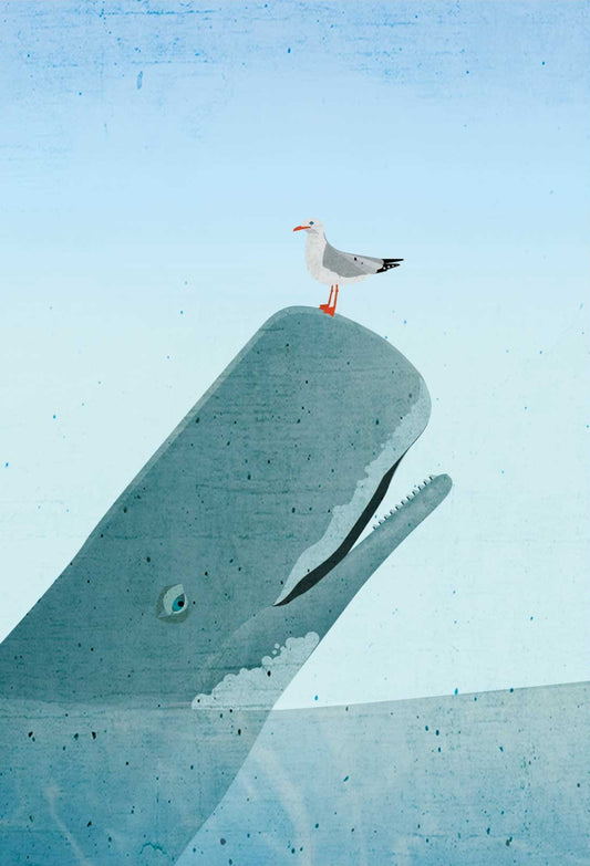 Whale and Seagull Postcard by Nobis Design