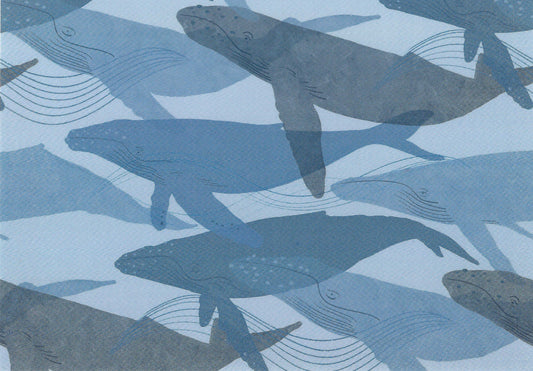 Das Brooklyn - Whales - Postcard