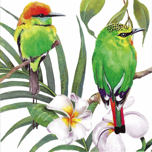 Edition Gollong - Carola Pabst - Two Birds - Postcard