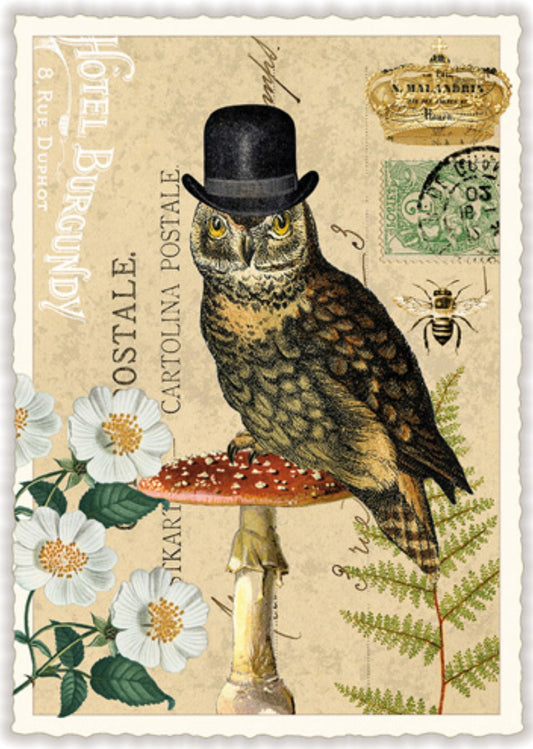 Edition Tausendschön Postcard PK476 Eagle Owl