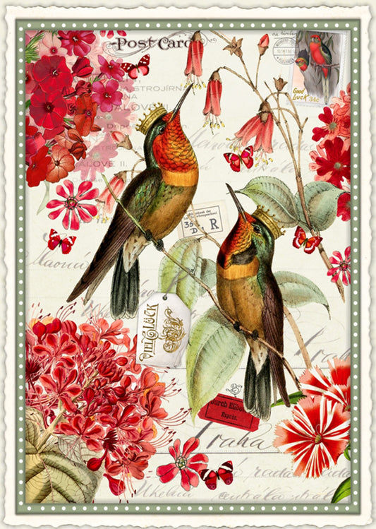 Kings of Nectar Postcard by Barbara Behr - Edition Wundersam No. 25 featuring birds and flowers on a floral background