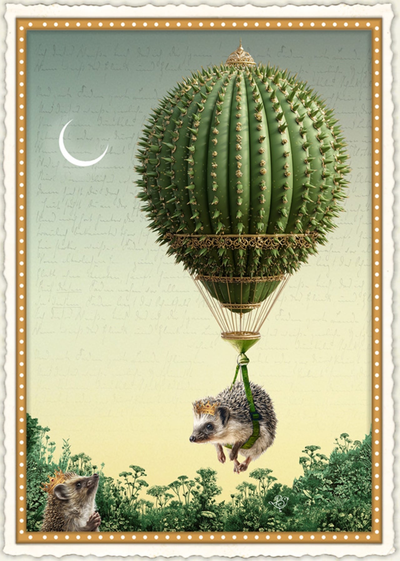 Toward the Heart Postcard by Barbara Behr - Edition Wundersam No. 28 featuring a hedgehog riding a hot air balloon shaped like a cactus in a natural setting with a moon in the background and another hedgehog on the ground.