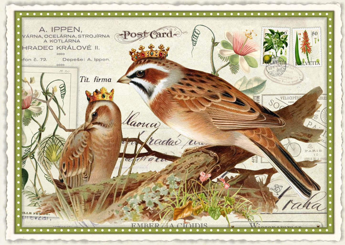 Royal Dialogue Postcard by Barbara Behr - Edition Wundersam No. 34 featuring a vintage-style postcard with birds and nature elements