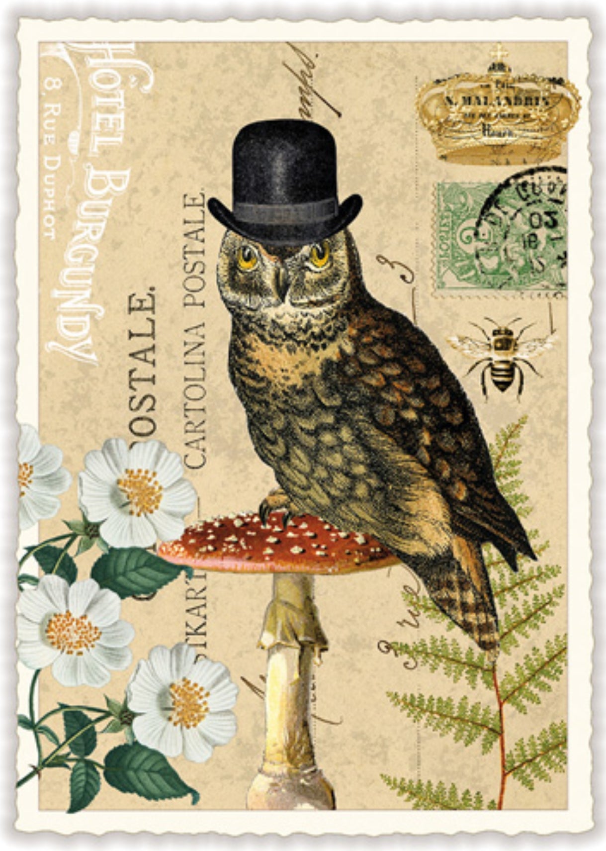 Edition Tausendschön postcard - owl - mushroom