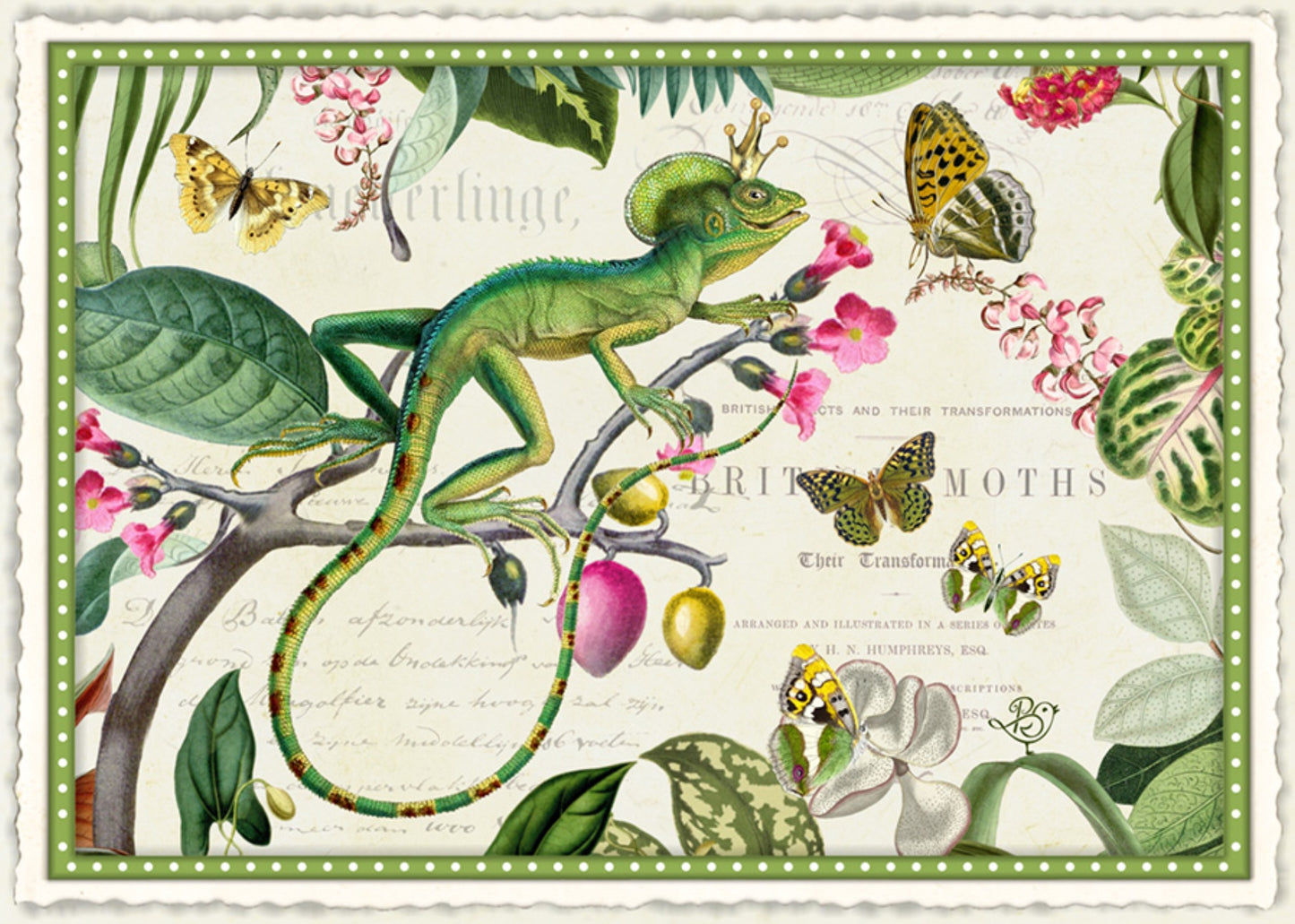 Between Sun and Wind Postcard by Barbara Behr - Edition Wundersam No. 13 featuring a green lizard, butterflies, and flowers