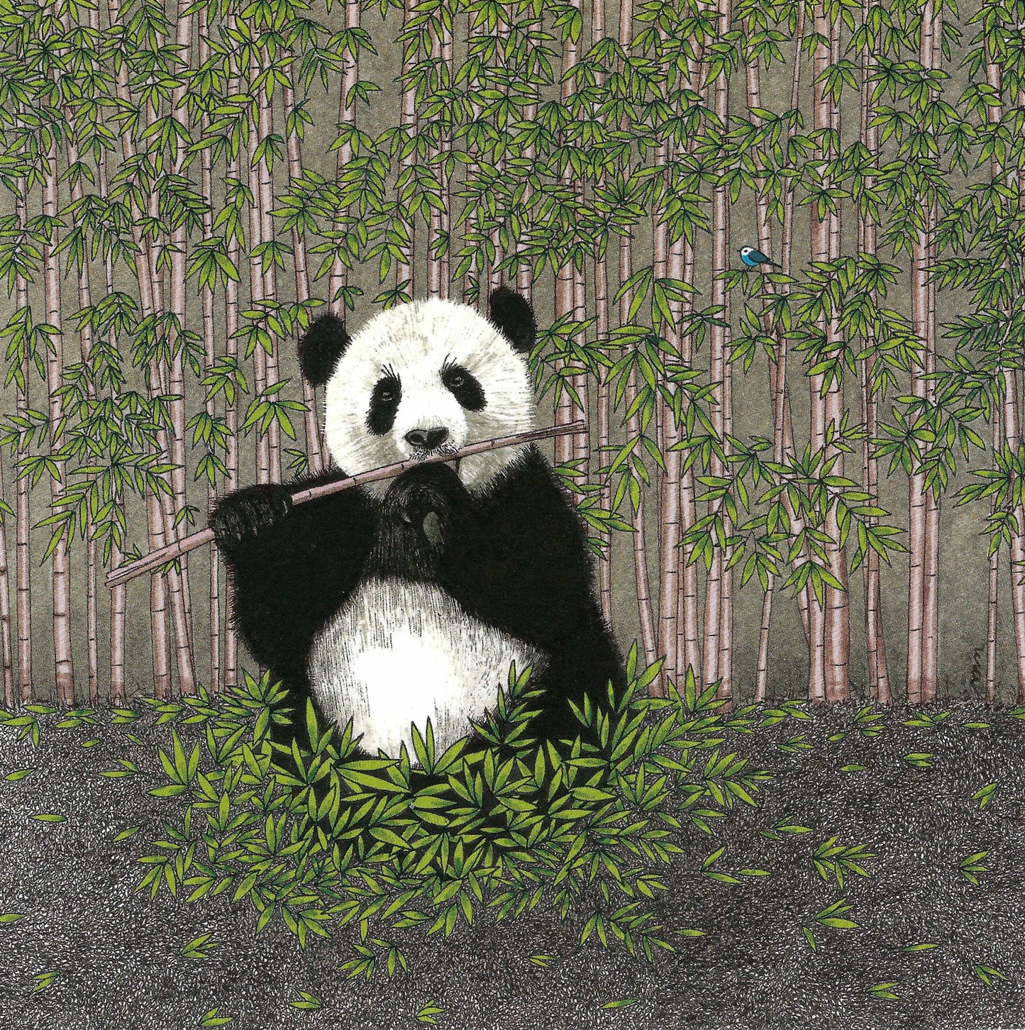 Panda Bear Postcard - Editions Titi Pinson postcard illustrated by Myriam Nion featuring a panda bear resting among eucalyptus leaves with a bluebird nearby—square format with varnish accents, printed in France.