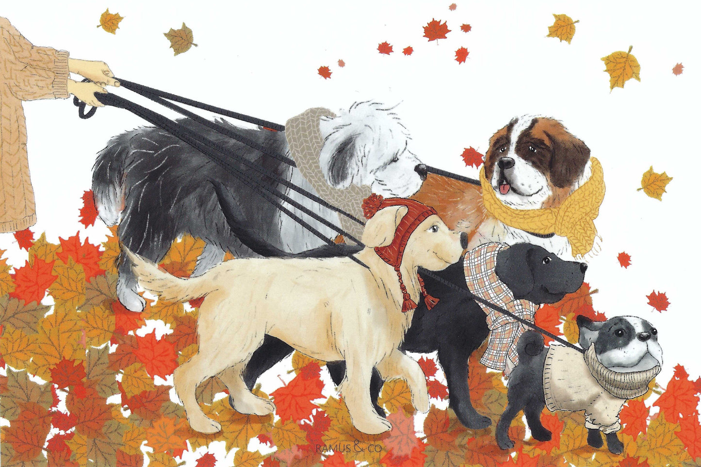 Fall Dog Walk Postcard by Ramus & Company featuring an illustration of dogs on leashes wearing hats and scarves and walking in autumn leaves
