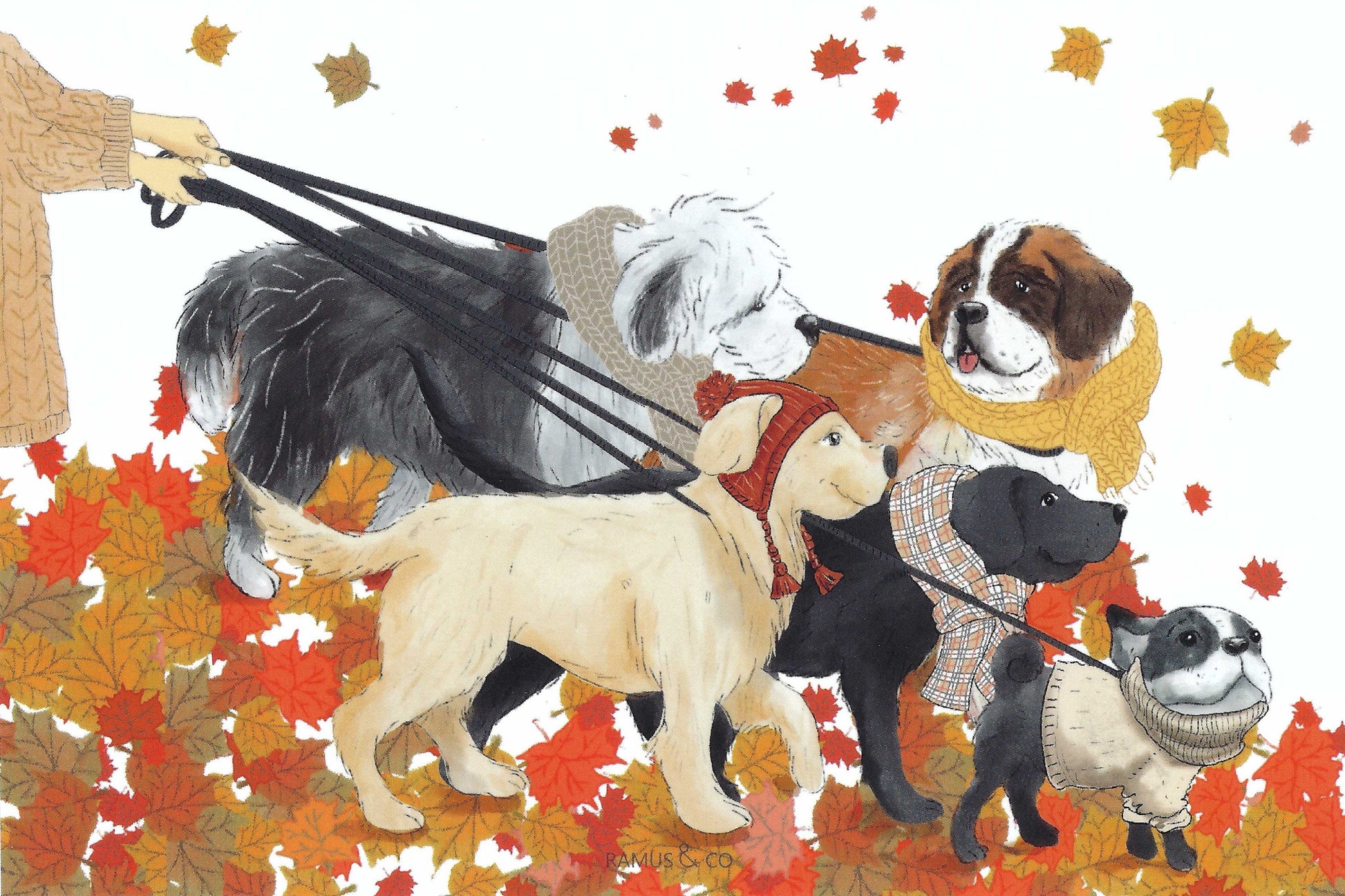 Fall Dog Walk Postcard by Ramus & Company featuring an illustration of dogs on leashes wearing hats and scarves and walking in autumn leaves
