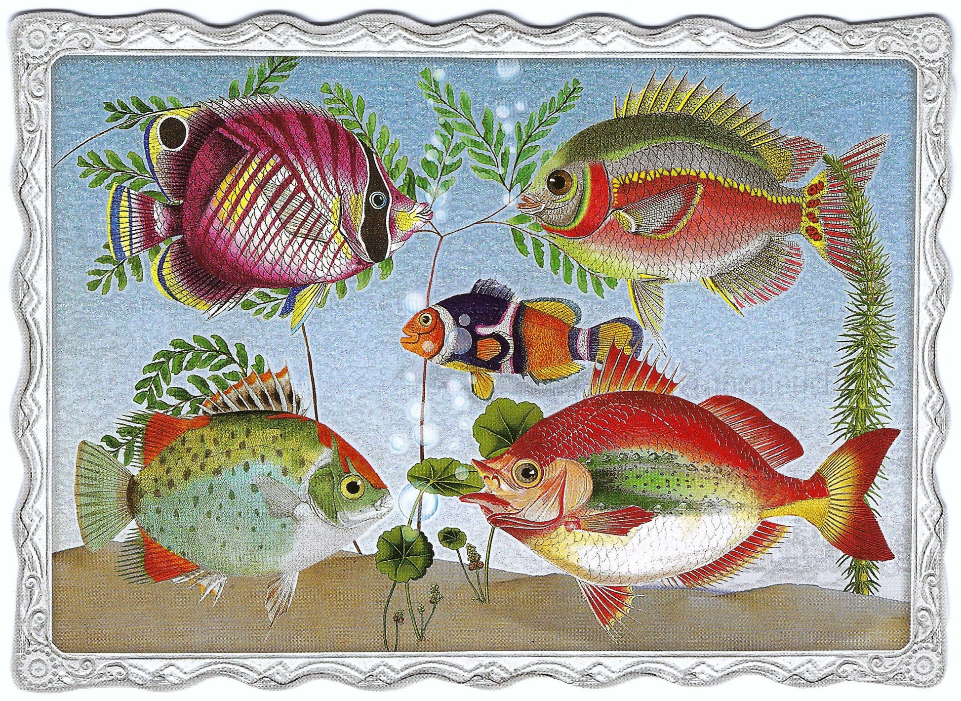 Fishes Postcard by Auguri by Barbara Behr featuring an illustration of colorful fish with glitter details by Edition Gollong