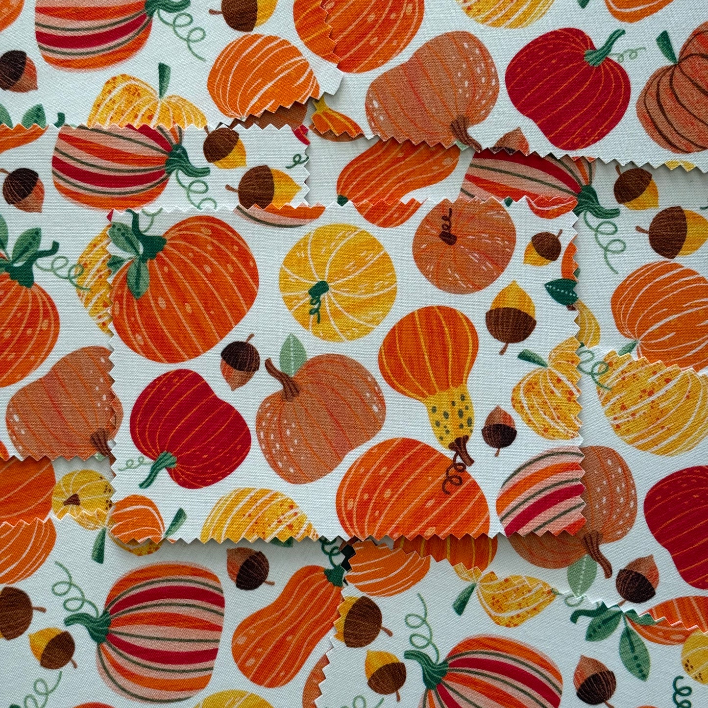 Fall Fabric Postcard with pumpkins and gourds on a white background