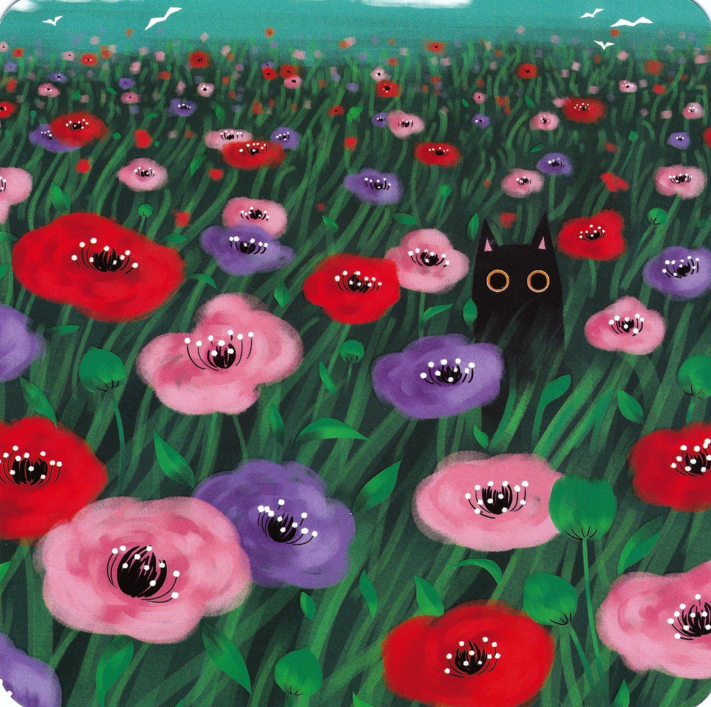 Group Editor - Black Cat - Flowers - Poppies - Postcard