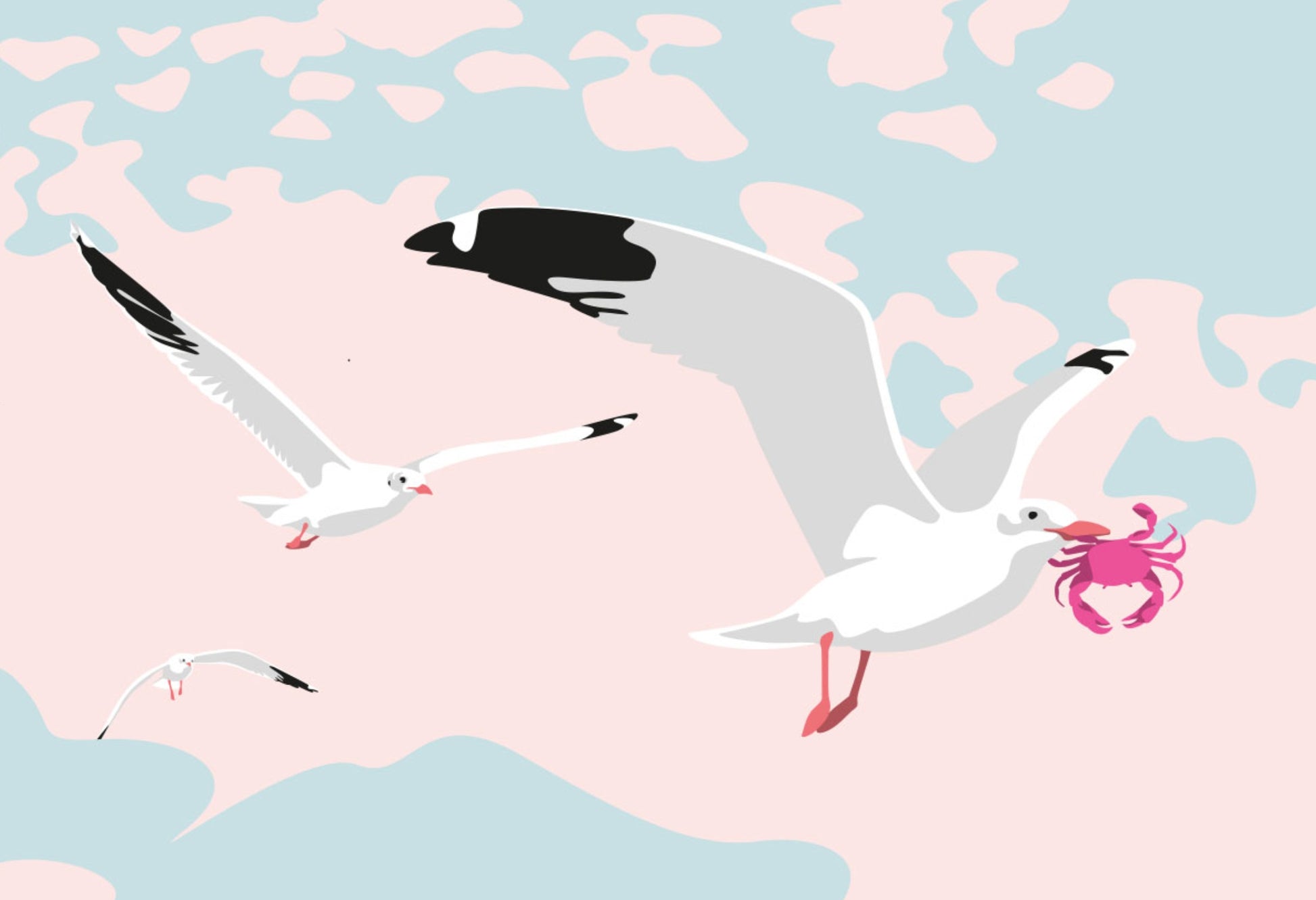 Gulls Postcard by Nobis Design featuring three white seagulls flying over a pastel pink and light blue background, with one gull holding a pink crab.
