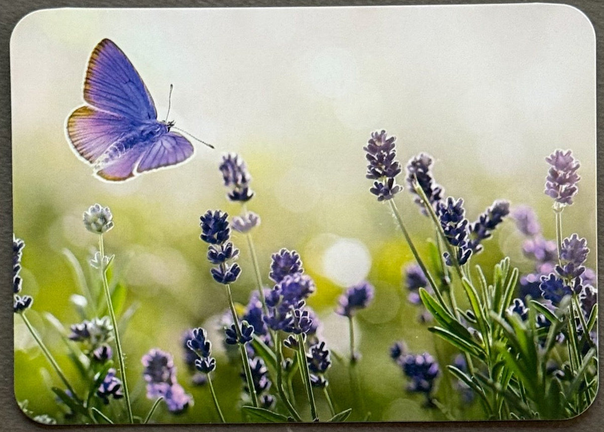 The Purple Post - Premium Postcard, Sticker and Washi Tape Pack - Purple Love