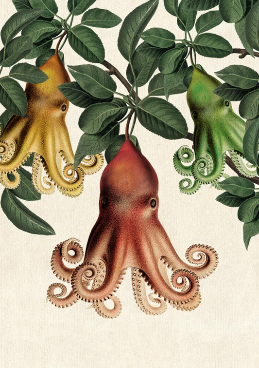 Funny octopus postcard – by Inkognito - quirky sea creature art for Postcrossing and snail mail lovers