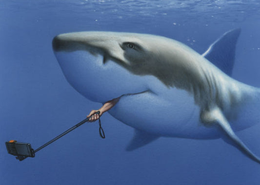 Inkognito Postcard - Spectacular Selfie - Shark