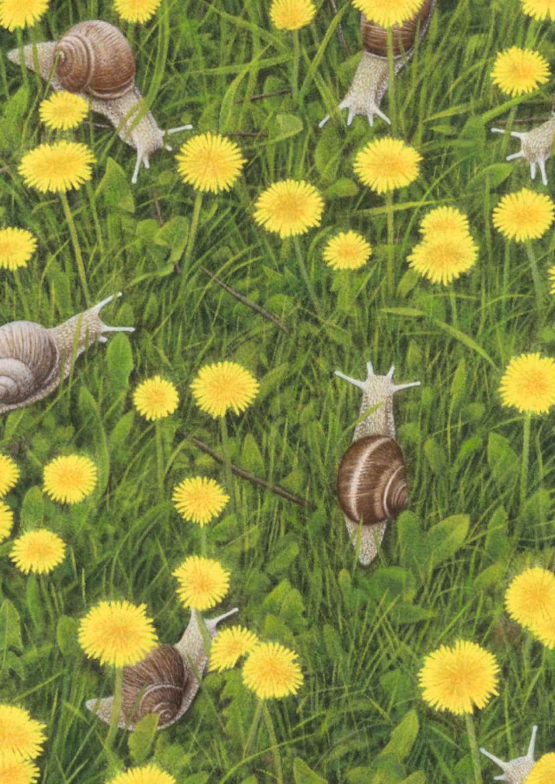 Inkognito - Dandelion Meadow - Snails - Snail Mail - Postcard
