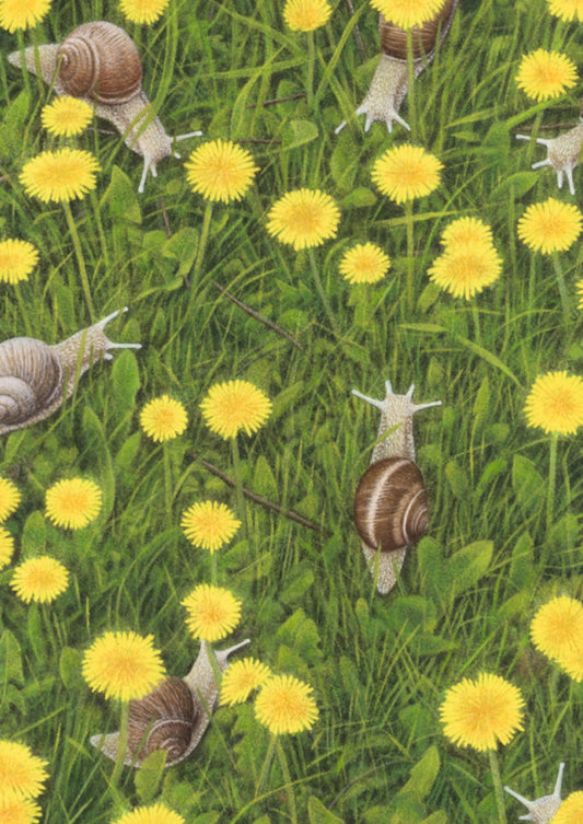 Inkognito - Dandelion Meadow - Snails - Snail Mail - Postcard