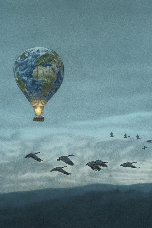 Inkognito Postcard - Flight - Geese - Hot Air Balloon