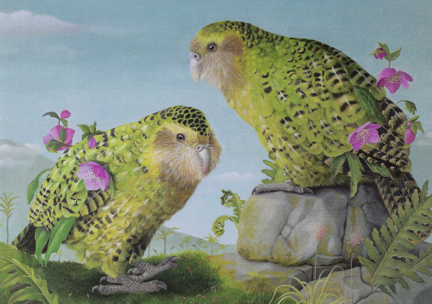 Inkognito - Kakapo Birds - Bird - Postcard