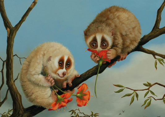 Inkognito - Slow Loris - In Love - Flowers - Postcard