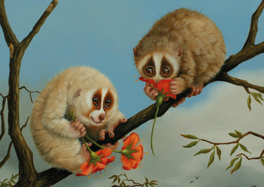 Inkognito Postcard - Slow Loris - In Love
