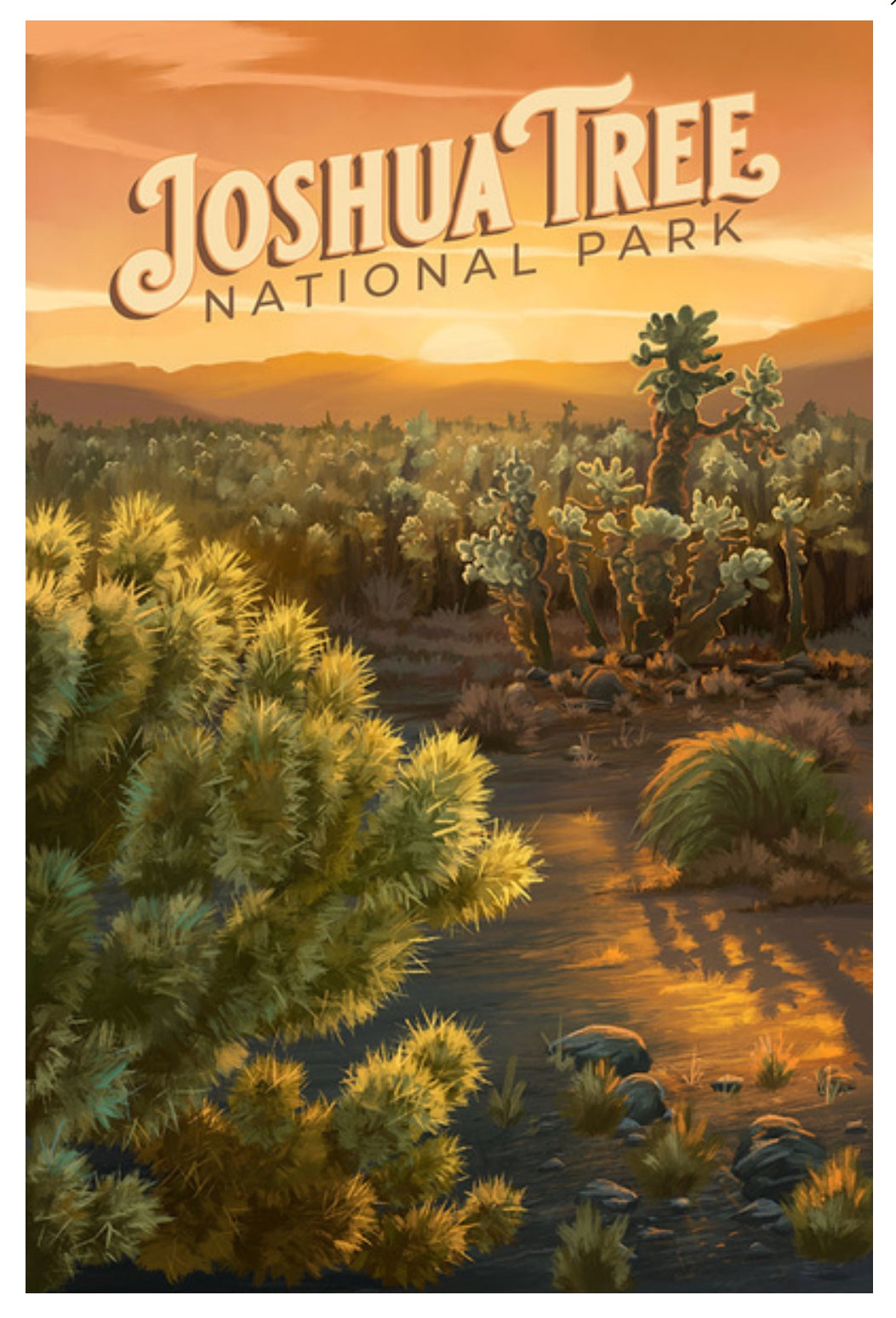 Lantern Press Postcard featuring the Joshua Tree National Park in California