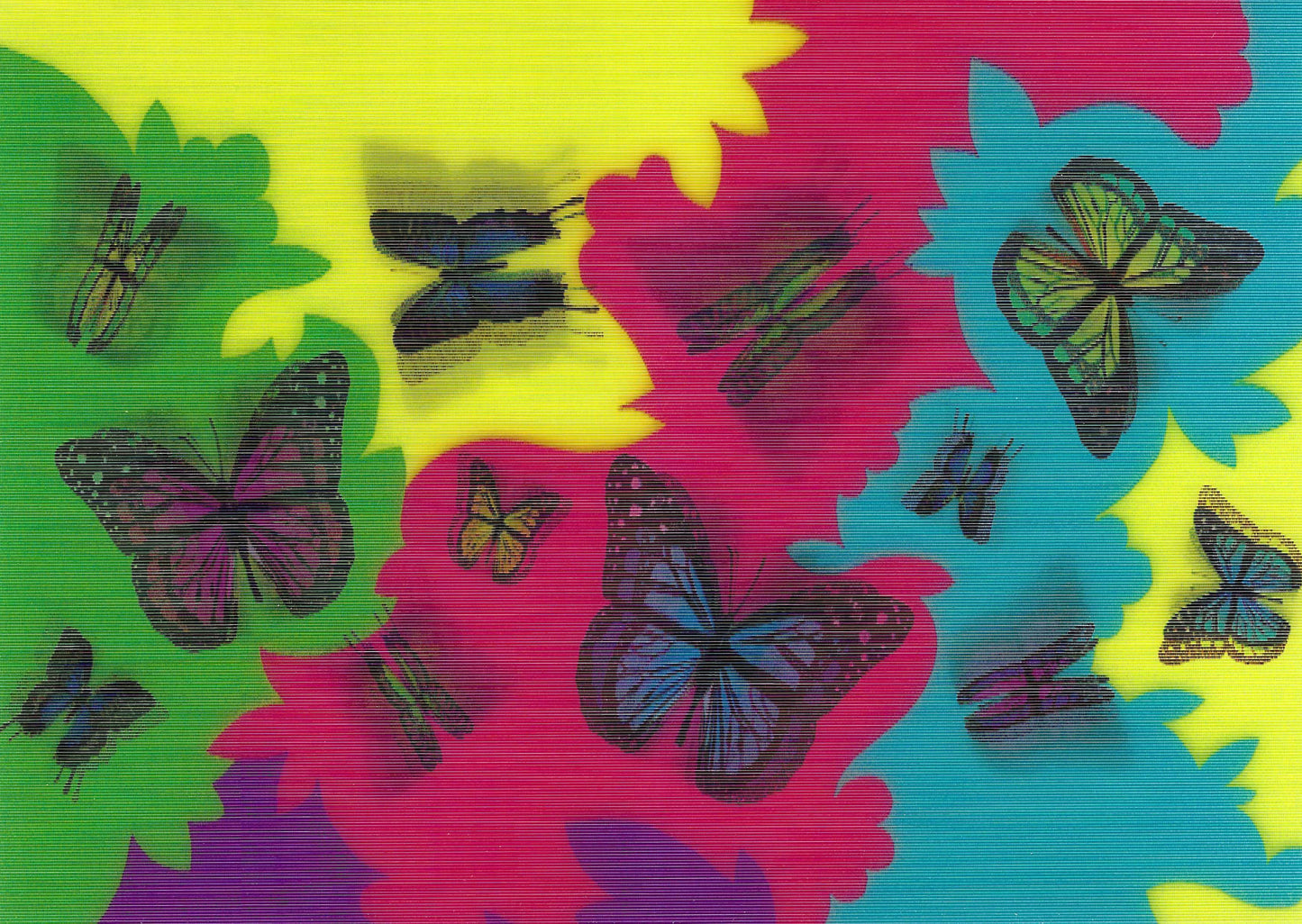L.M. Kartenvertrieb - Butterflies - Lenticular Postcard