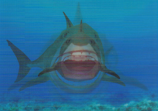 L.M. Kartenvertrieb - Smiling Shark - Ocean - Lenticular Postcard