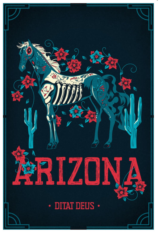 Lantern Press Postcard - Arizona Postcard - Day of the Dead - Postcrossing Postcard