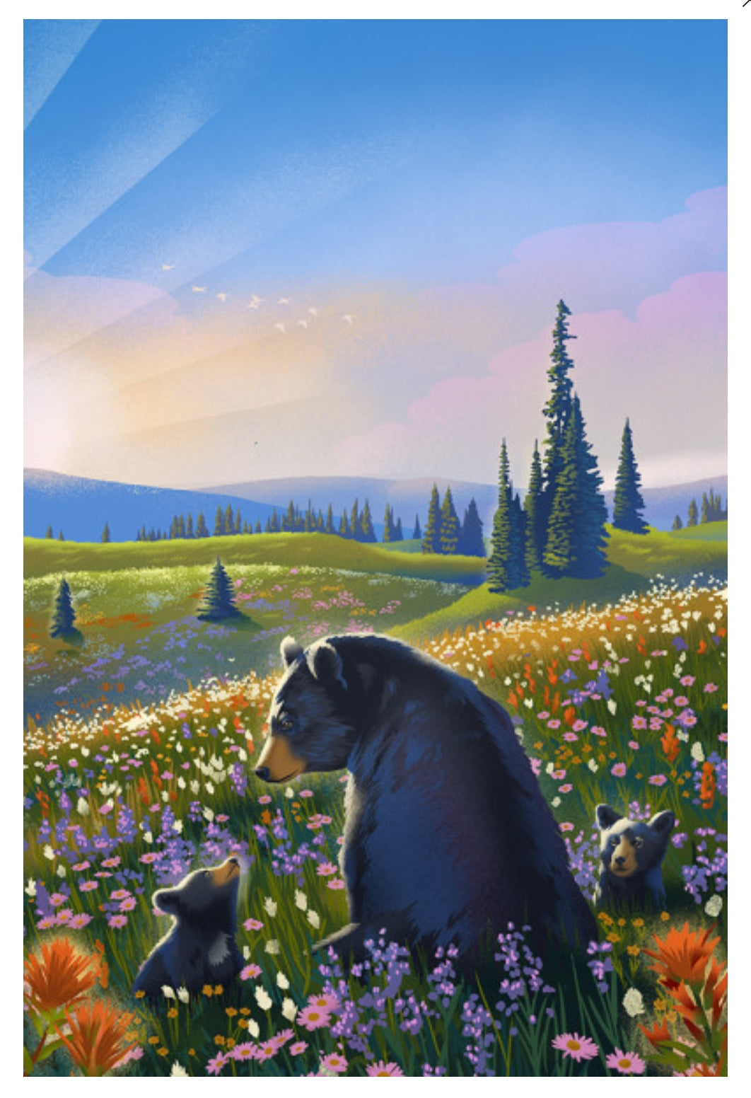Bear and cub - Meadow - Lantern Press Postcard