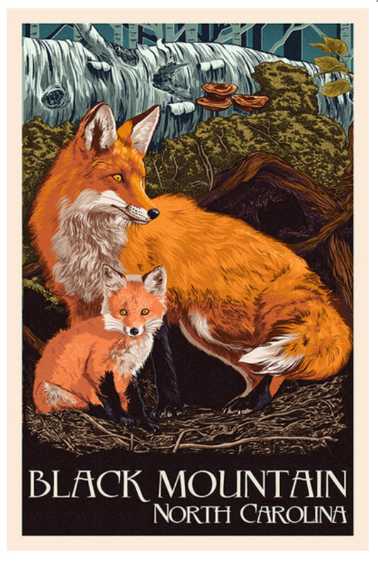 Lantern Press Postcard - Foxes Postcard - Black Mountain Postcard - North Carolina Postcard - Postcrossing Postcard - Postcards for Postcrossing