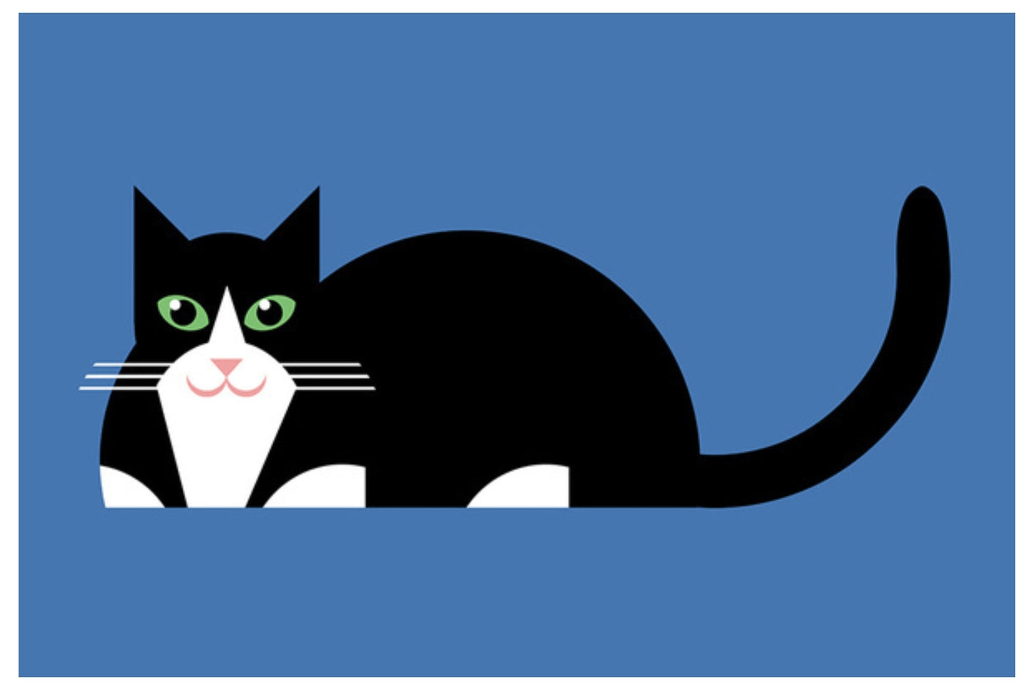 Lantern Press Postcard - Cat Postcard