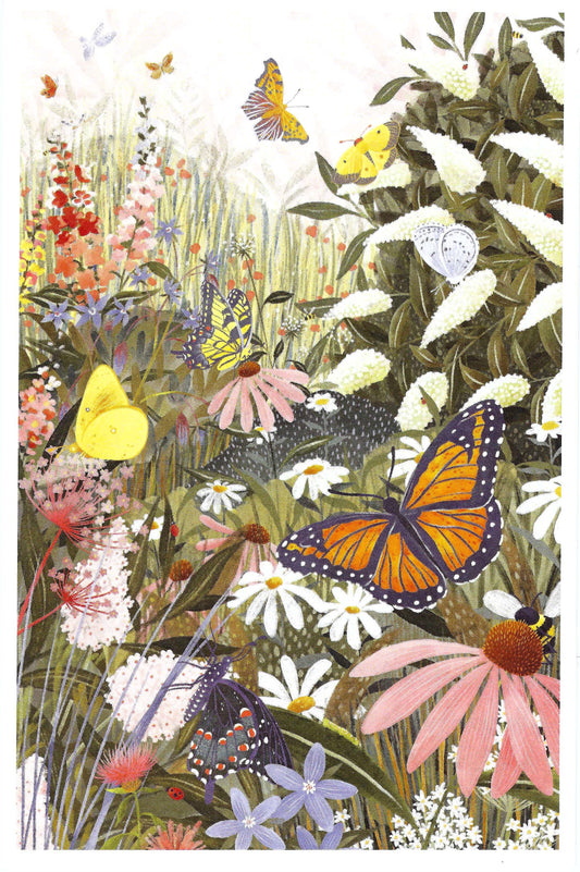 Lantern Press - Butterfly Garden - Butterflies - Postcard